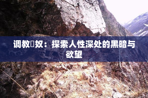 调教婬奴：探索人性深处的黑暗与欲望