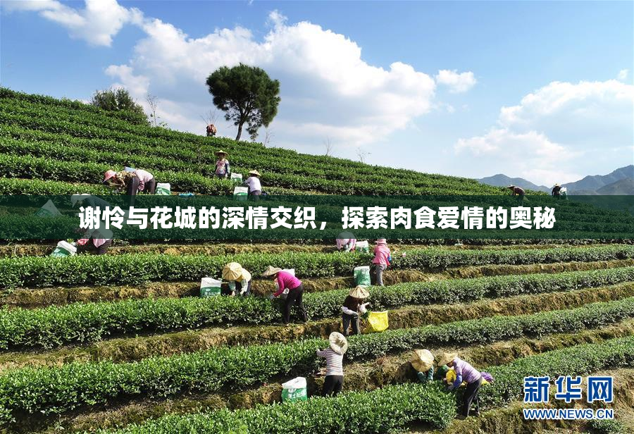 谢怜与花城的深情交织，探索肉食爱情的奥秘