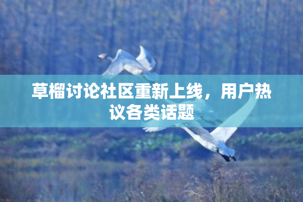 草榴讨论社区重新上线，用户热议各类话题
