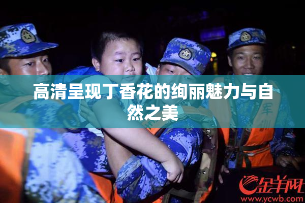 高清呈现丁香花的绚丽魅力与自然之美