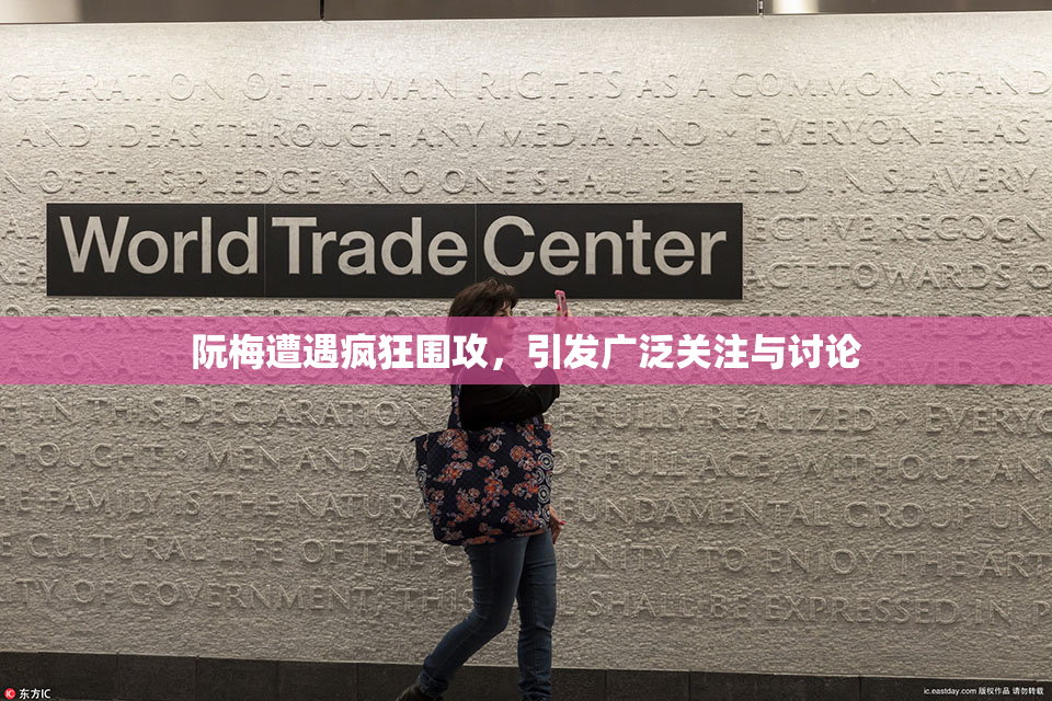 阮梅遭遇疯狂围攻，引发广泛关注与讨论
