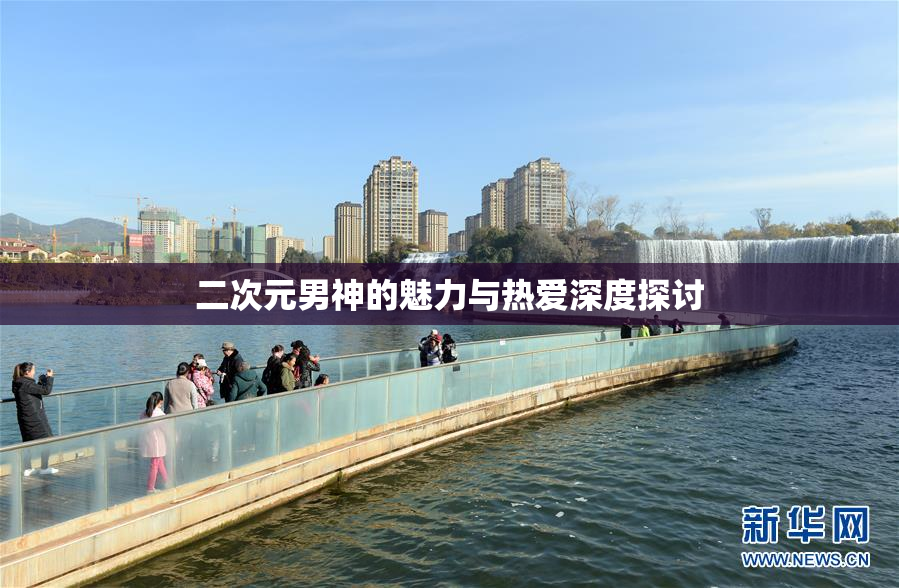二次元男神的魅力与热爱深度探讨