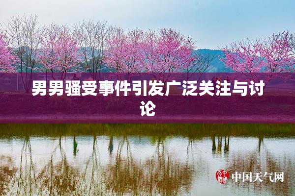 男男骚受事件引发广泛关注与讨论
