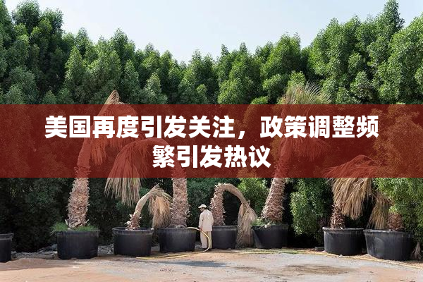 美国再度引发关注，政策调整频繁引发热议