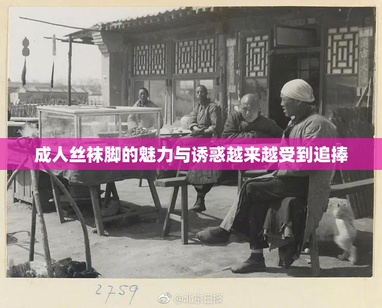 成人丝袜脚的魅力与诱惑越来越受到追捧