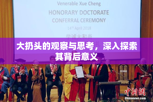 大扔头的观察与思考，深入探索其背后意义