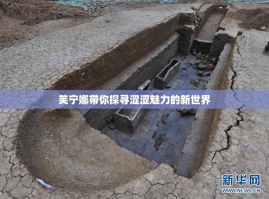 芙宁娜带你探寻涩涩魅力的新世界