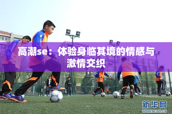 高潮se：体验身临其境的情感与激情交织