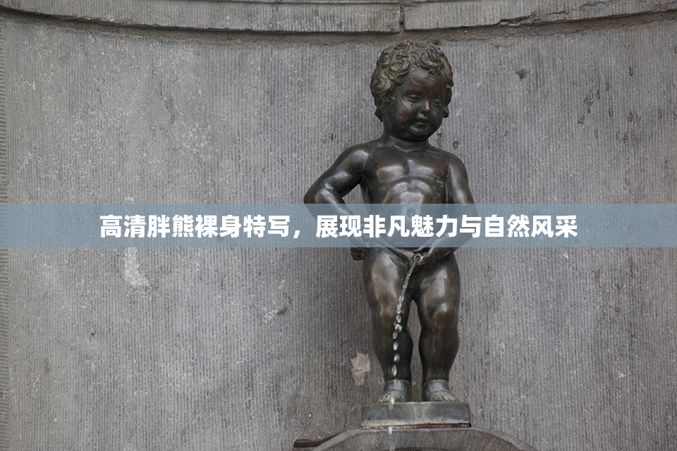 高清胖熊裸身特写，展现非凡魅力与自然风采