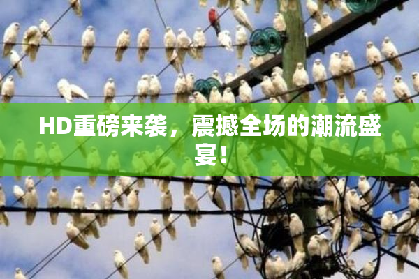 HD重磅来袭，震撼全场的潮流盛宴！