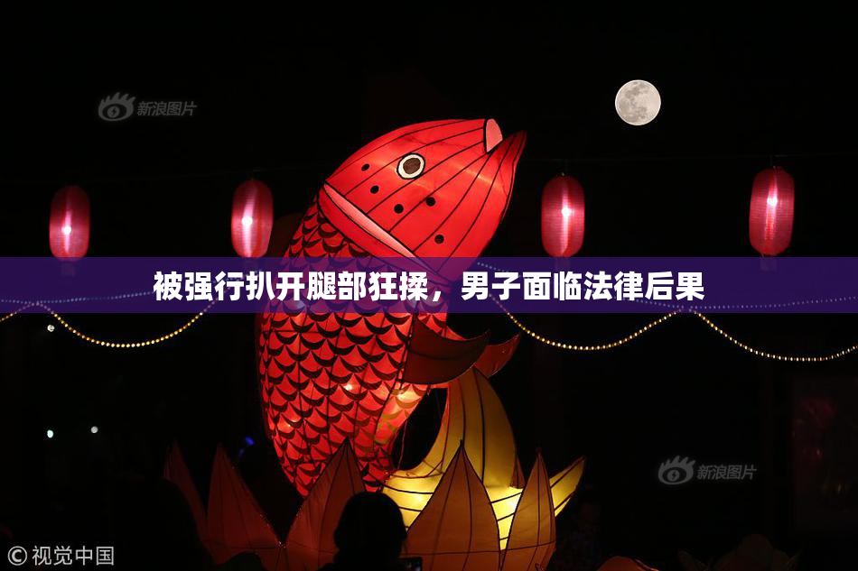 被强行扒开腿部狂揉，男子面临法律后果
