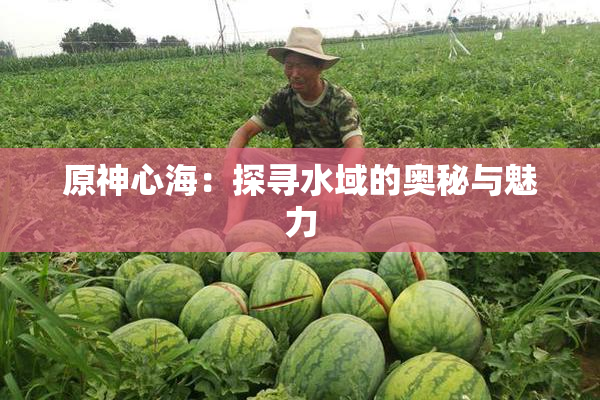 原神心海：探寻水域的奥秘与魅力