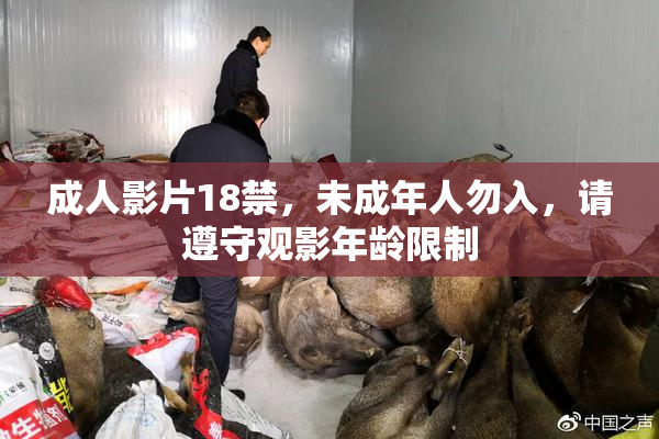 成人影片18禁，未成年人勿入，请遵守观影年龄限制