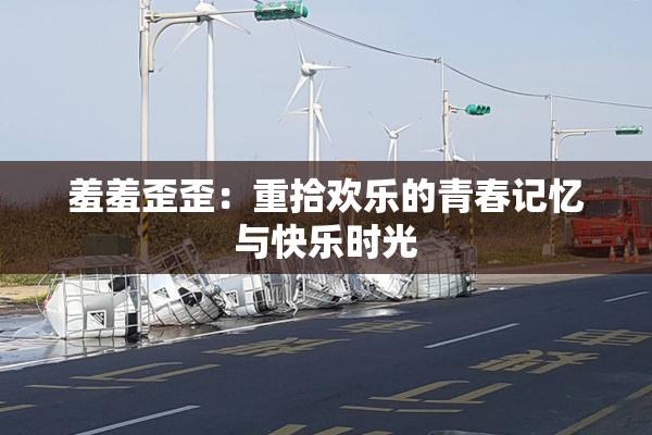 羞羞歪歪：重拾欢乐的青春记忆与快乐时光