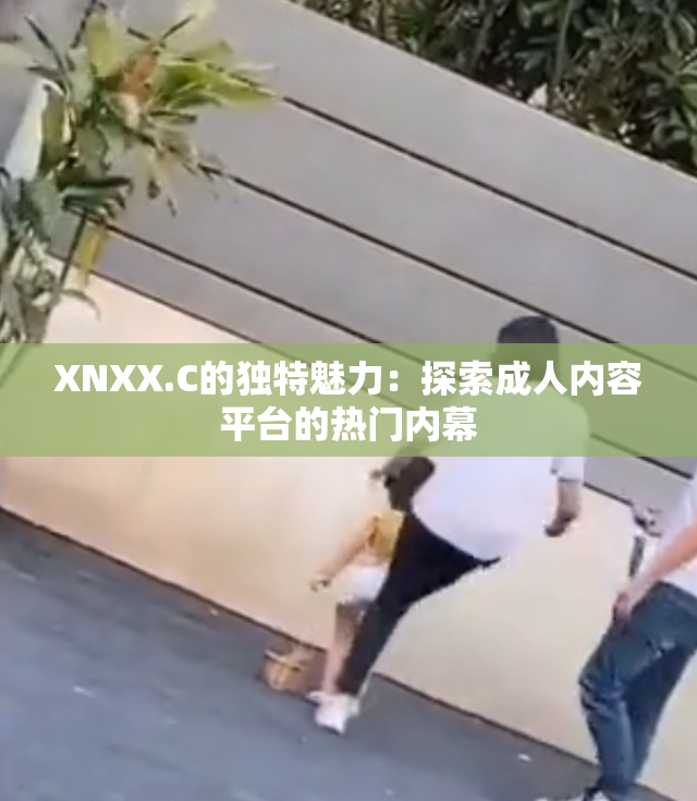 XNXX.C的独特魅力：探索成人内容平台的热门内幕