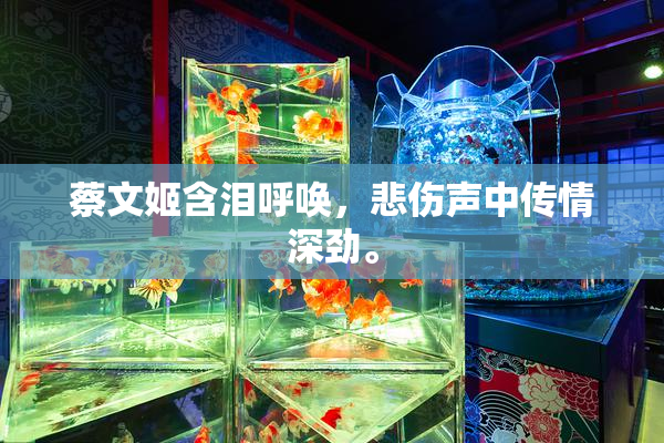 蔡文姬含泪呼唤，悲伤声中传情深劲。