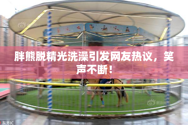 胖熊脱精光洗澡引发网友热议，笑声不断！