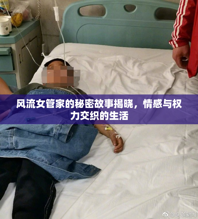 风流女管家的秘密故事揭晓，情感与权力交织的生活