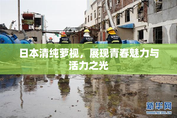 日本清纯萝视，展现青春魅力与活力之光