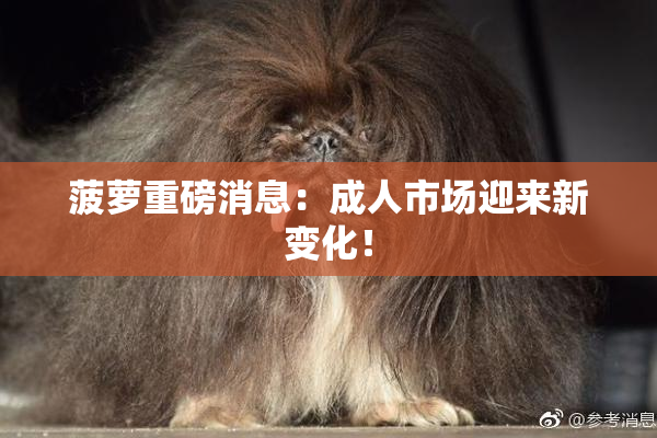 菠萝重磅消息：成人市场迎来新变化！