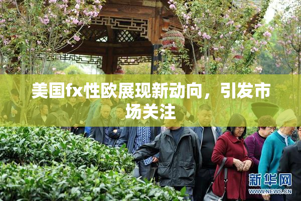 美国fx性欧展现新动向，引发市场关注