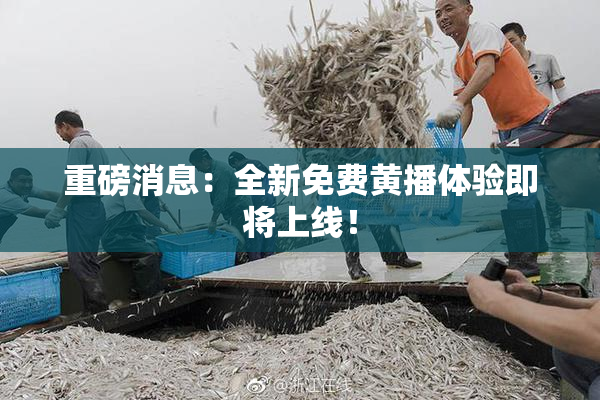 重磅消息：全新免费黄播体验即将上线！