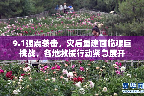 9.1强震袭击，灾后重建面临艰巨挑战，各地救援行动紧急展开