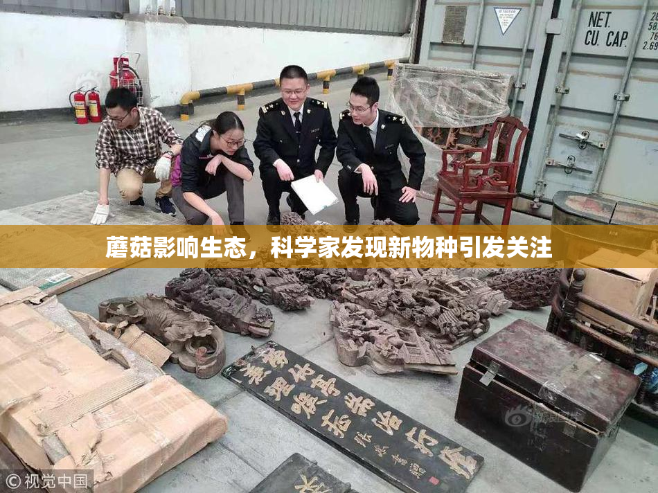 蘑菇影响生态，科学家发现新物种引发关注