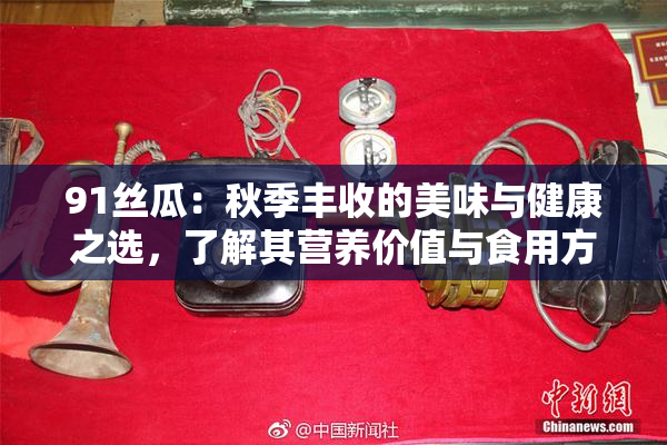 91丝瓜：秋季丰收的美味与健康之选，了解其营养价值与食用方法！