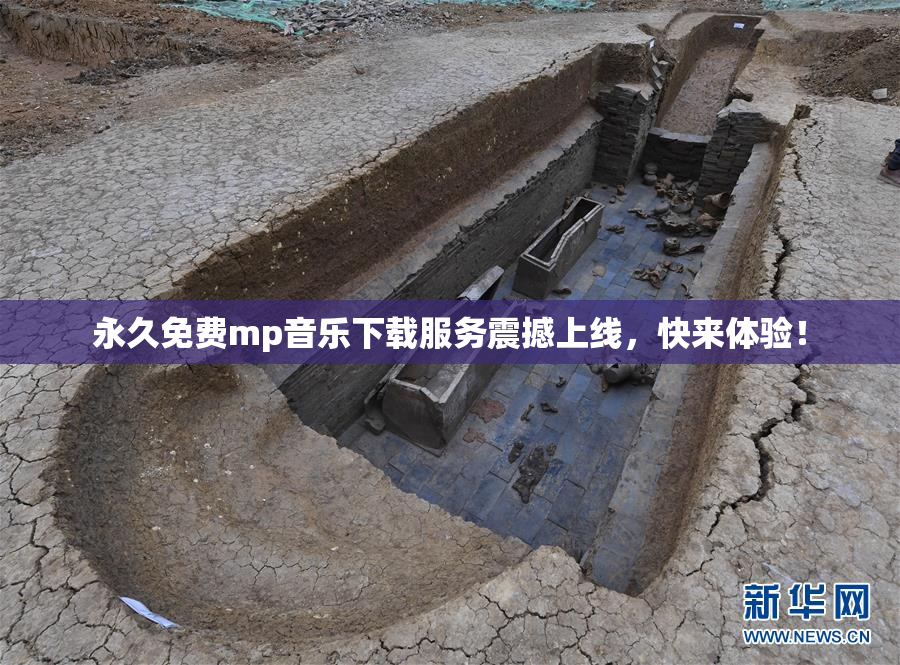 永久免费mp音乐下载服务震撼上线，快来体验！