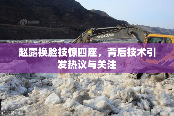 赵露换脸技惊四座，背后技术引发热议与关注