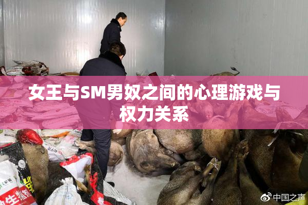 女王与SM男奴之间的心理游戏与权力关系