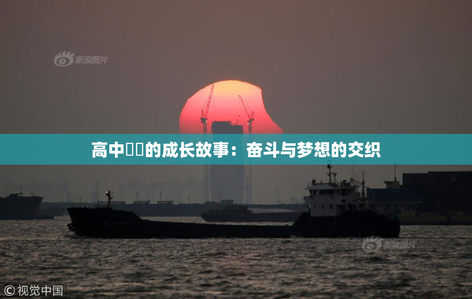 高中妺妺的成长故事：奋斗与梦想的交织