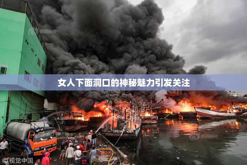 女人下面洞口的神秘魅力引发关注