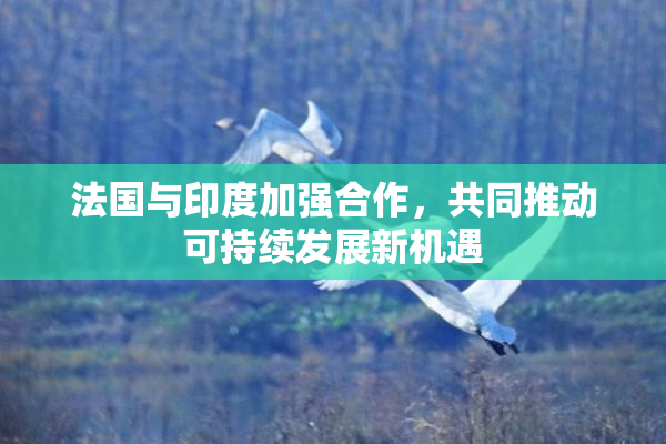 法国与印度加强合作，共同推动可持续发展新机遇