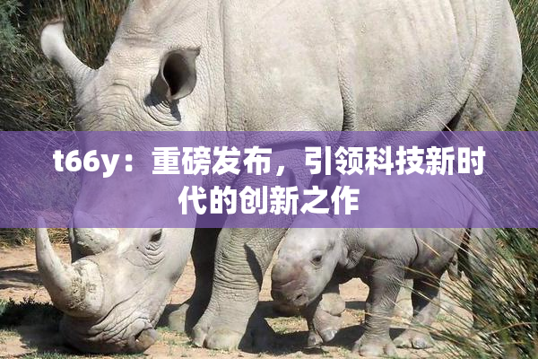t66y：重磅发布，引领科技新时代的创新之作