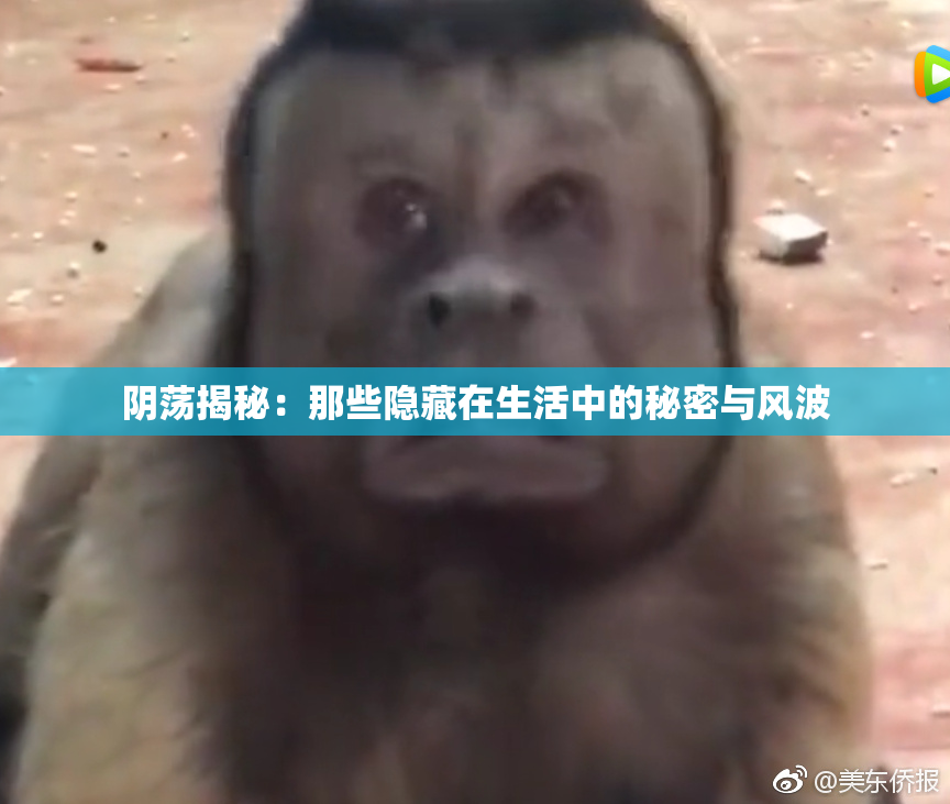 阴荡揭秘：那些隐藏在生活中的秘密与风波