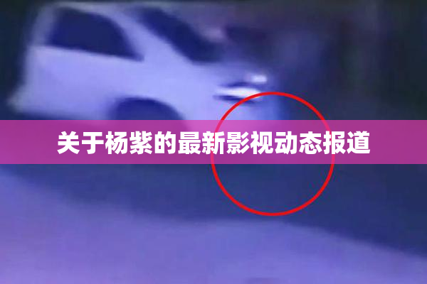 关于杨紫的最新影视动态报道