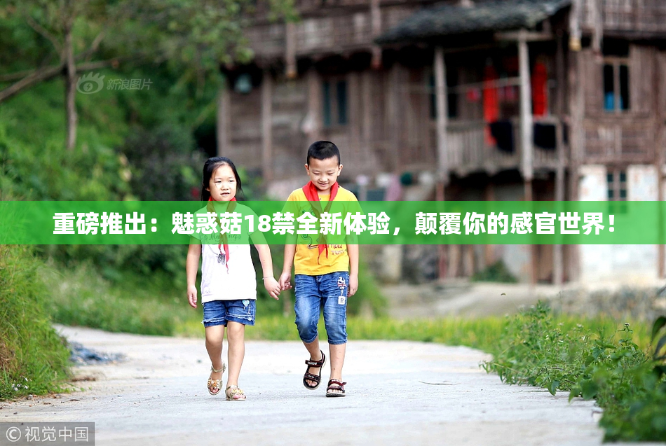 重磅推出：魅惑菇18禁全新体验，颠覆你的感官世界！