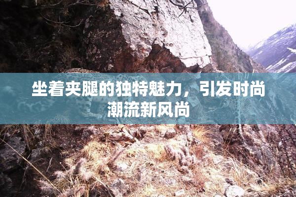 坐着夹腿的独特魅力，引发时尚潮流新风尚