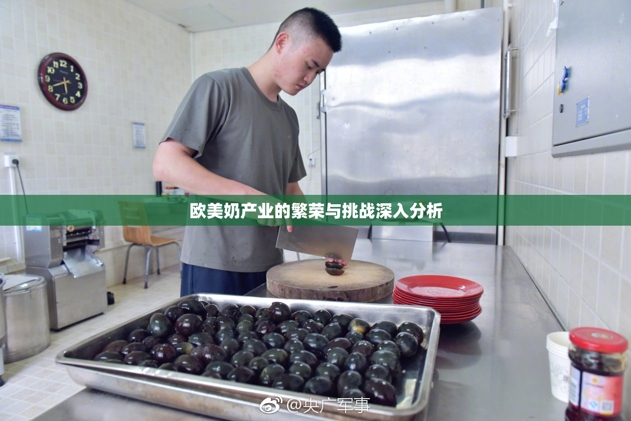欧美奶产业的繁荣与挑战深入分析