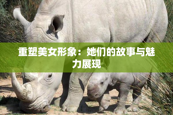 重塑美女形象：她们的故事与魅力展现