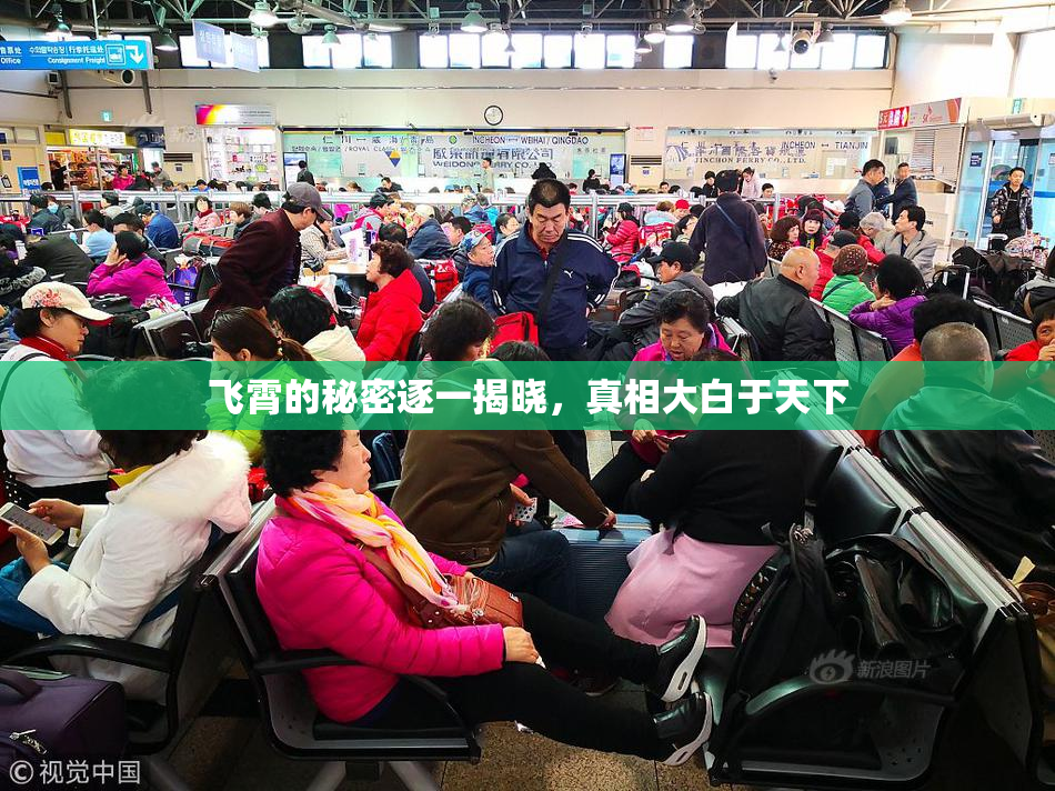 飞霄的秘密逐一揭晓，真相大白于天下