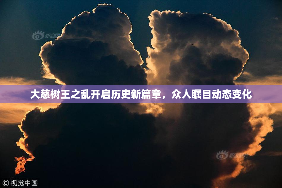 大慈树王之乱开启历史新篇章，众人瞩目动态变化