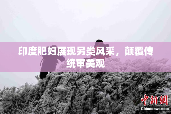 印度肥妇展现另类风采，颠覆传统审美观