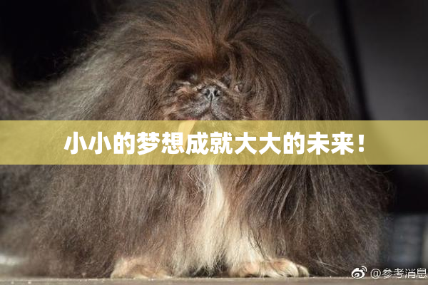 小小的梦想成就大大的未来！