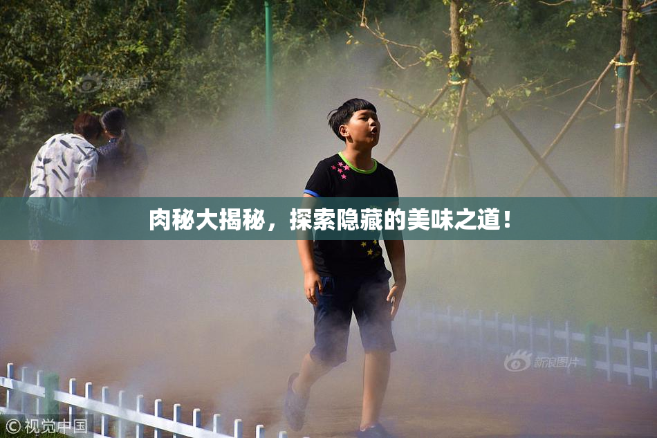 肉秘大揭秘，探索隐藏的美味之道！