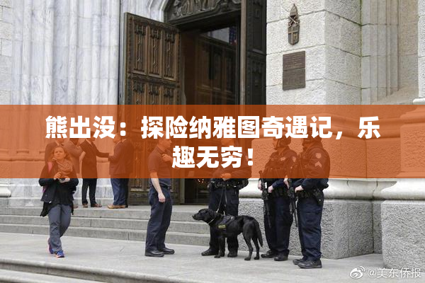 熊出没：探险纳雅图奇遇记，乐趣无穷！