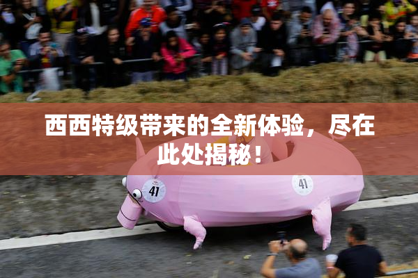 西西特级带来的全新体验，尽在此处揭秘！