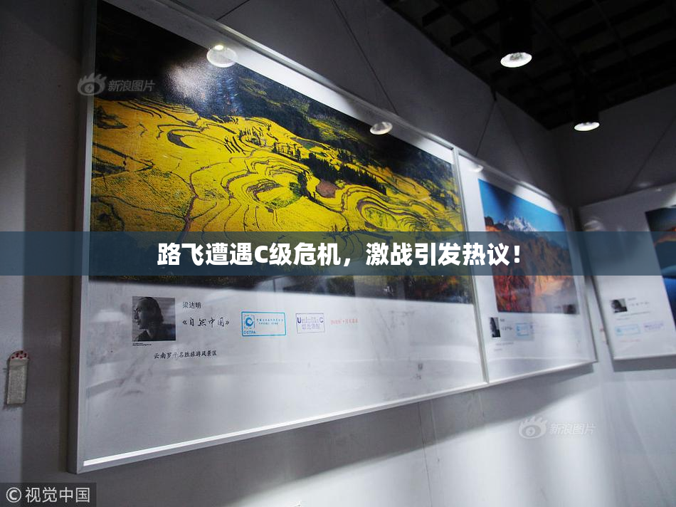 路飞遭遇C级危机，激战引发热议！